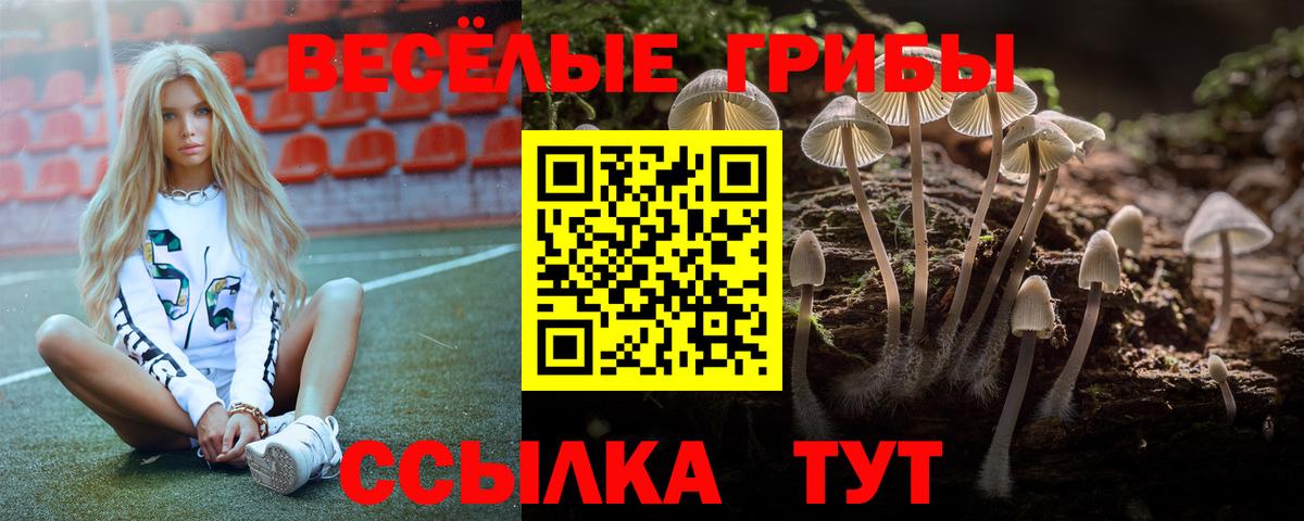 Чехов  продажа наркотиков  Вход с VPN  Псилоцибиновые грибы Psilocybe 